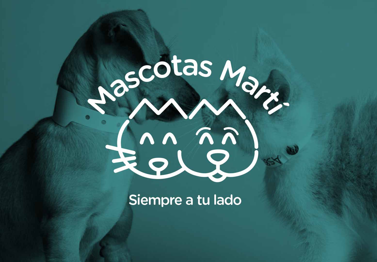 mascotas marti